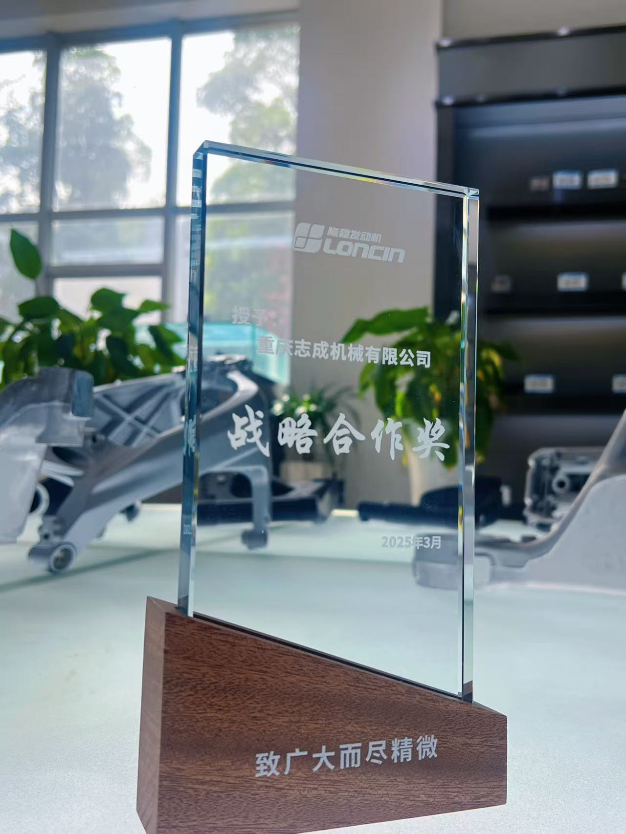隆鑫-戰(zhàn)略合作獎.jpg